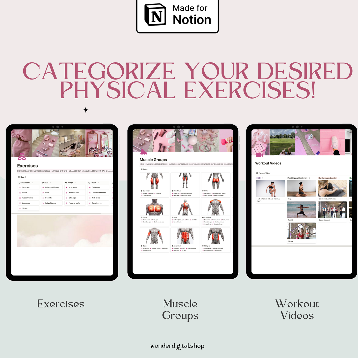 Notion Fitness Planner Template: Ultimate Workout and Progress Tracker